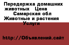 Передержка домашних животных › Цена ­ 200 - Самарская обл. Животные и растения » Услуги   